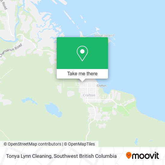 Tonya Lynn Cleaning map