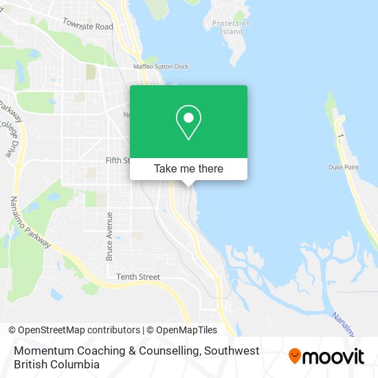 Momentum Coaching & Counselling plan