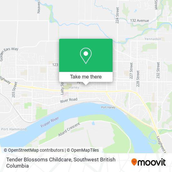 Tender Blossoms Childcare map