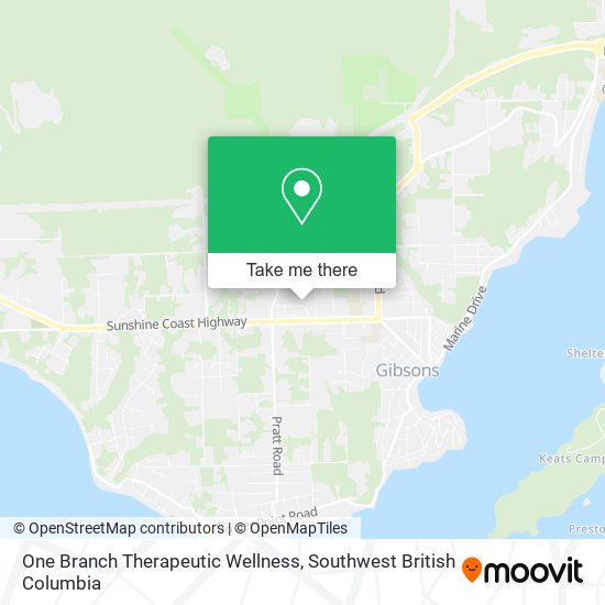 One Branch Therapeutic Wellness map