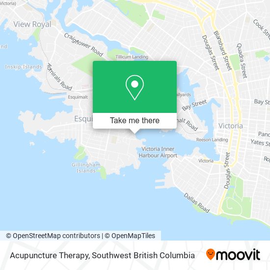Acupuncture Therapy map