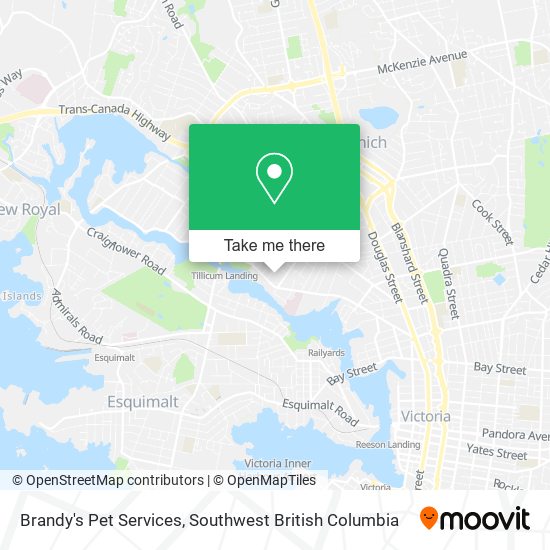 Brandy's Pet Services map