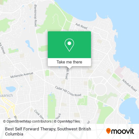 Best Self Forward Therapy map