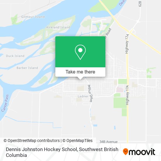 Dennis Johnston Hockey School plan