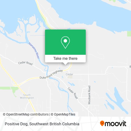 Positive Dog map
