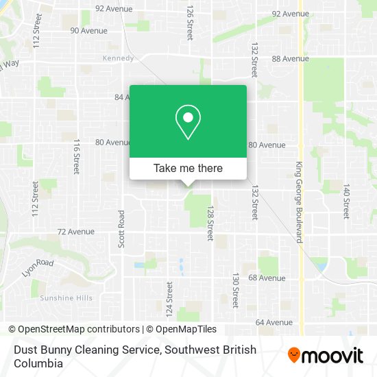 Dust Bunny Cleaning Service plan