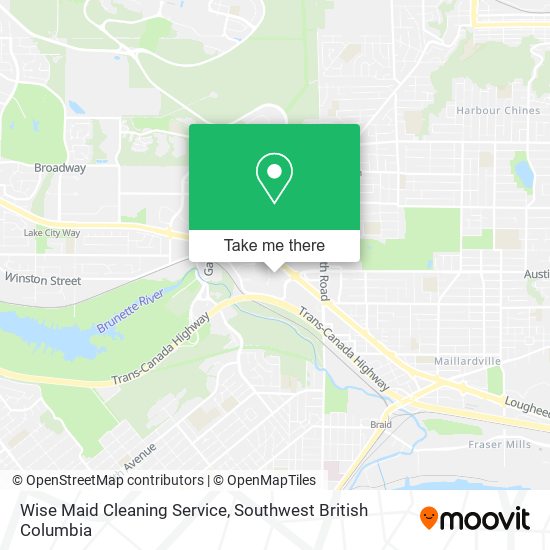 Wise Maid Cleaning Service plan