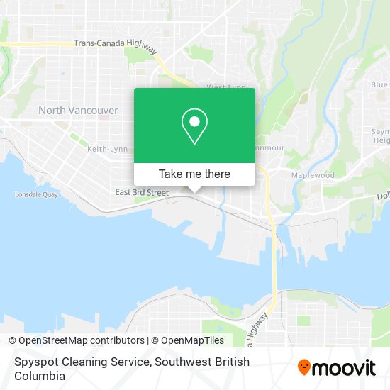 Spyspot Cleaning Service plan