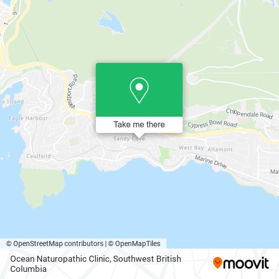 Ocean Naturopathic Clinic plan