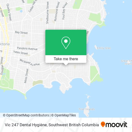 Vic 247 Dental Hygiène plan