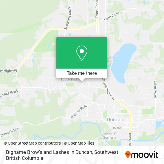 Bigname Brow's and Lashes in Duncan map
