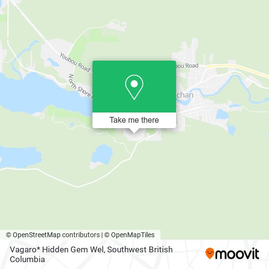 Vagaro* Hidden Gem Wel map