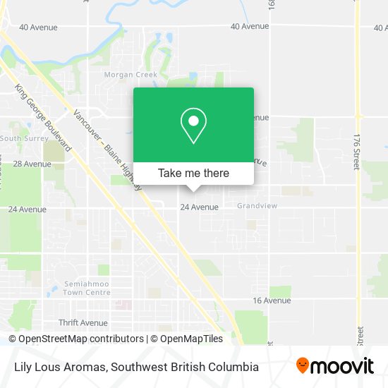 Lily Lous Aromas plan