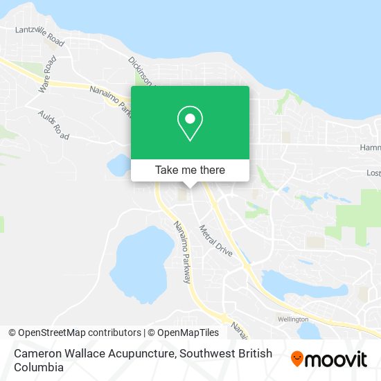 Cameron Wallace Acupuncture map