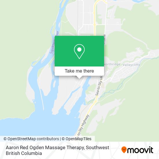 Aaron Red Ogden Massage Therapy plan