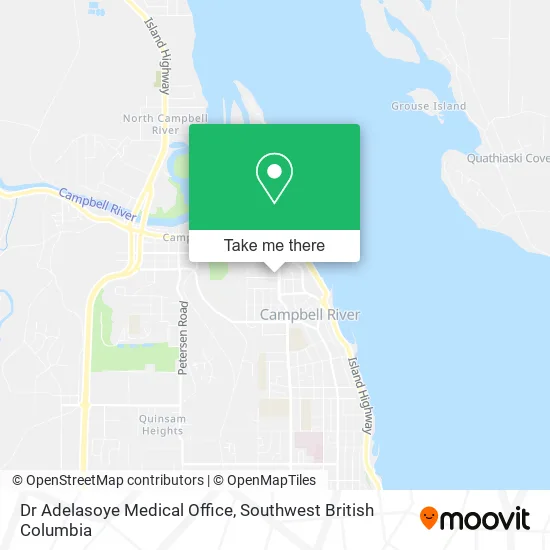 Dr Adelasoye Medical Office map