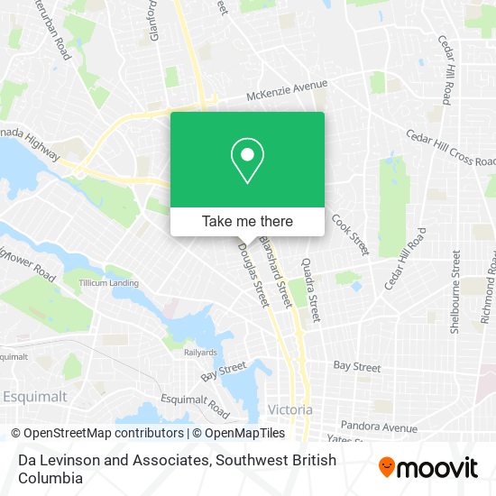 Da Levinson and Associates map
