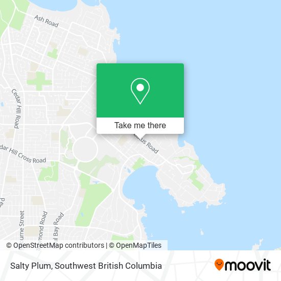 Salty Plum map