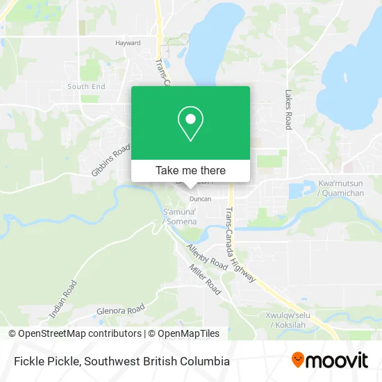 Fickle Pickle map
