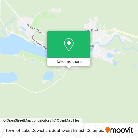 Town of Lake Cowichan plan