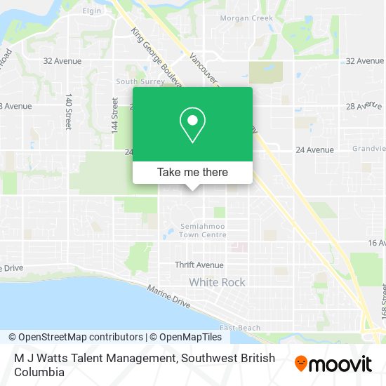 M J Watts Talent Management map