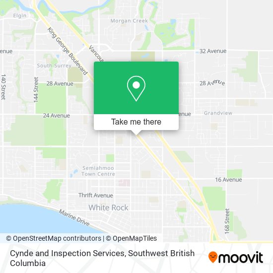 Cynde and Inspection Services plan