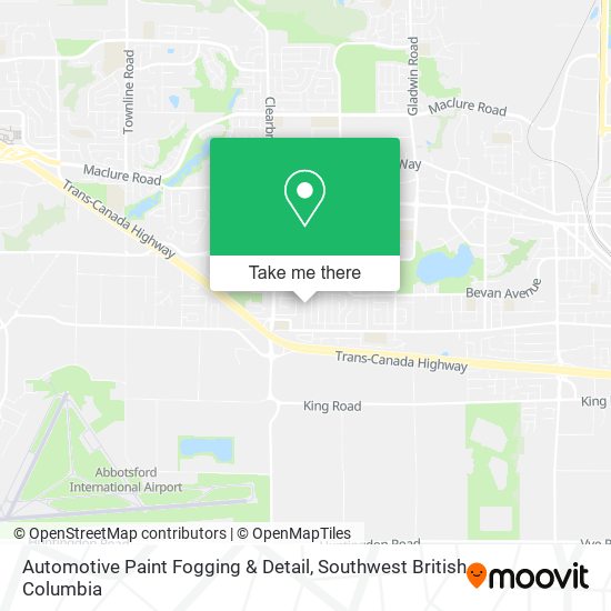Automotive Paint Fogging & Detail plan