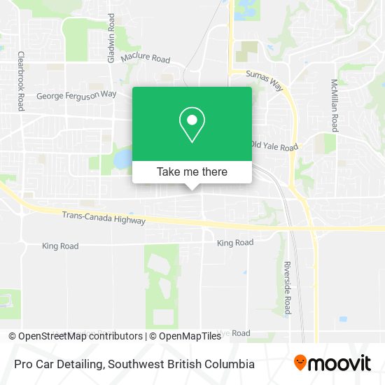 Pro Car Detailing plan