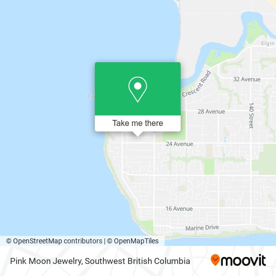 Pink Moon Jewelry plan