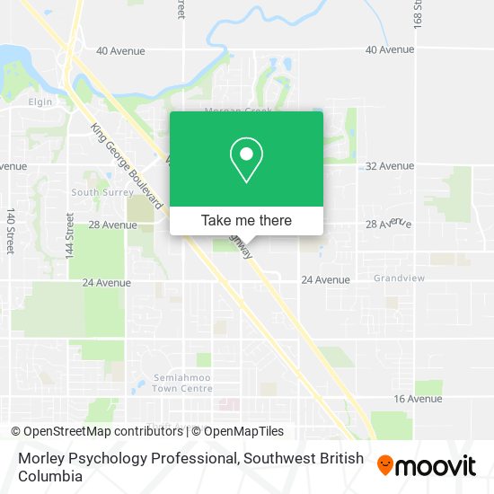 Morley Psychology Professional map