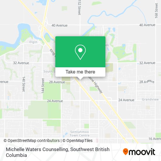 Michelle Waters Counselling plan