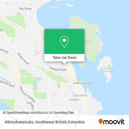 Albinobeestudio map