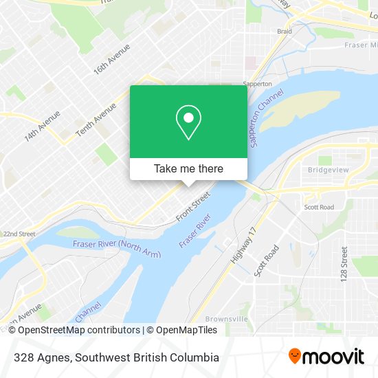 328 Agnes map