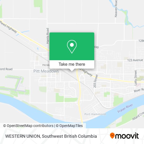 WESTERN UNION plan