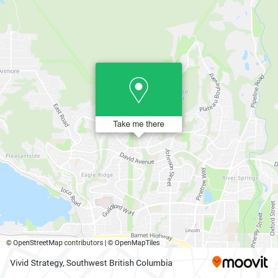 Vivid Strategy map