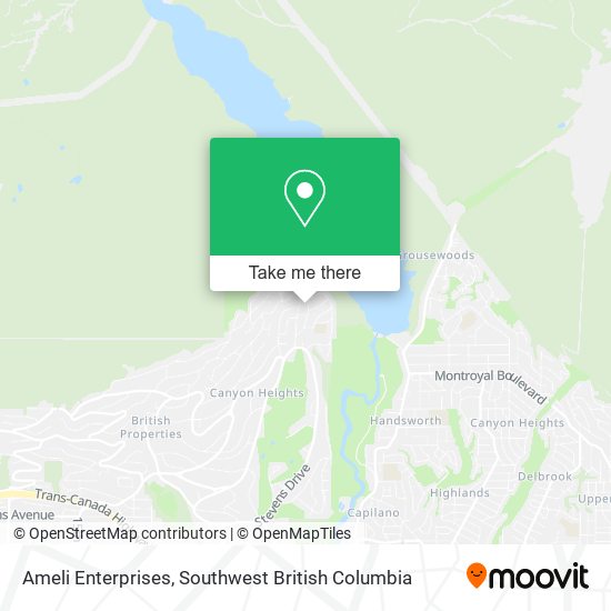 Ameli Enterprises plan