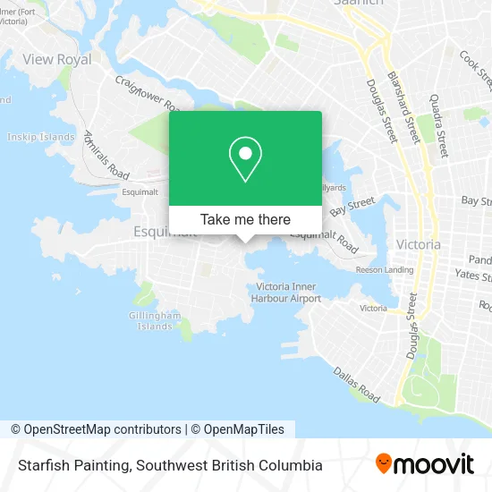 Starfish Painting map