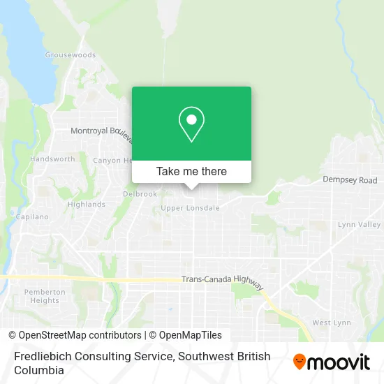 Fredliebich Consulting Service plan