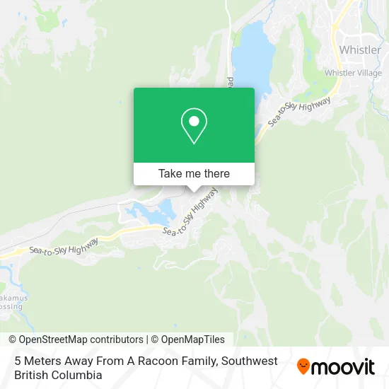 5 Meters Away From A Racoon Family map