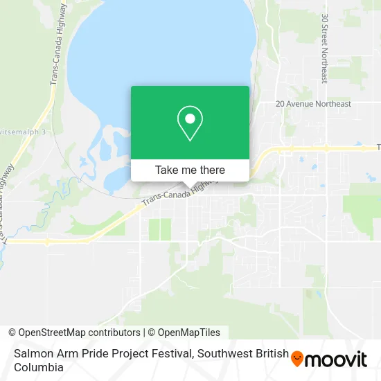 Salmon Arm Pride Project Festival plan