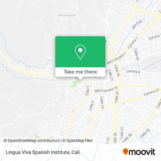 Lingua Viva Spanish Institute map