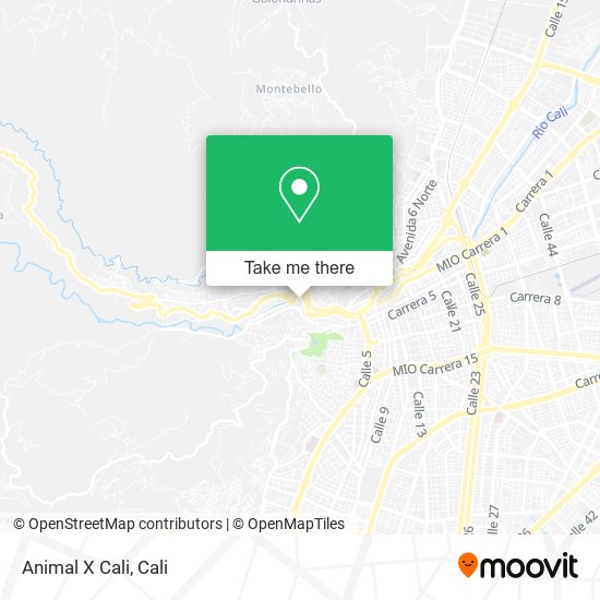 Mapa de Animal X Cali