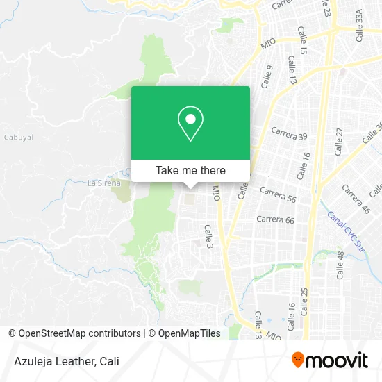 Azuleja Leather map