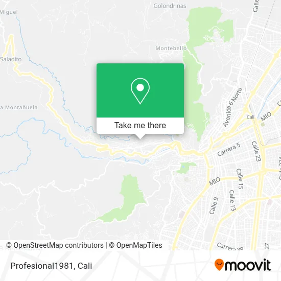 Profesional1981 map