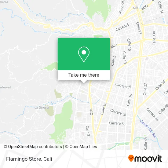 Flamingo Store map