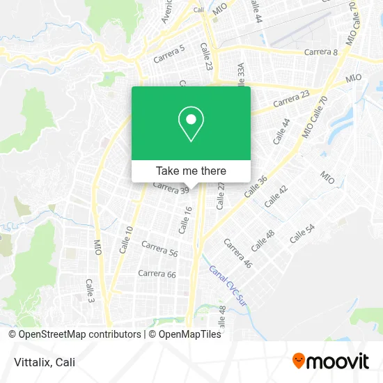 Vittalix map