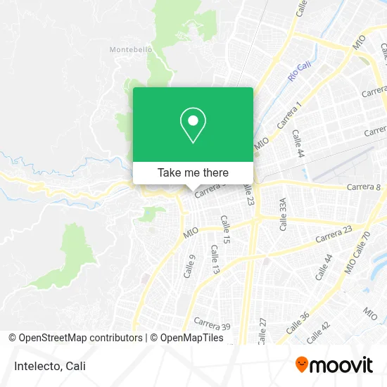 Intelecto map