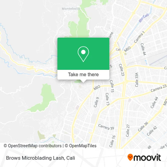 Brows Microblading Lash map