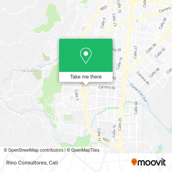 Rino Consultores map