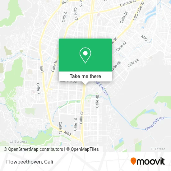 Flowbeethoven map